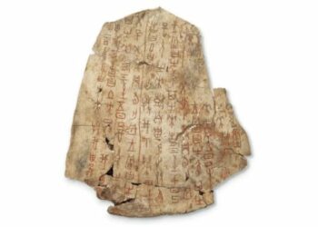 古文字學納入強基計畫  甲骨文等「絕學」傳承有保障