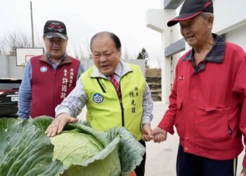 澎湖烏崁「高麗菜王」重磅登場 洪丙仲以單顆22.5台斤稱霸全場