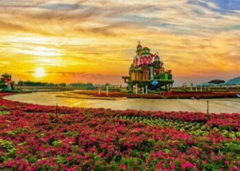 佈局台中觀光城市品牌成果亮眼  從海線到國際、打造世界旅遊新標地