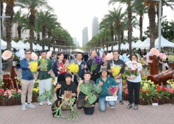 神農市集點亮凹子底森林公園 馬年木馬裝置與花藝結合 陪你逛市集、品味在地農產