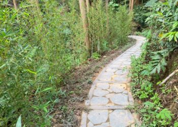 紫色山城再添低碳永續步道 瑞里村景觀步道改善獲金質榮耀