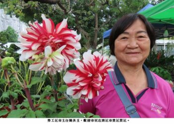 2026年勞工公園「金馬奔騰迎春花卉展登場囉