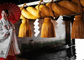 東京走春開運之旅 能量神社與萌寵療癒一次滿足