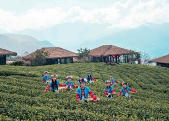 嘉義縣推28條賞燈親子遊程迎春節、賞燈會