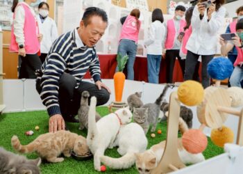 「喵星人命定配對」結果揭曉 0.65%中籤率抽出29位「鏟屎官」