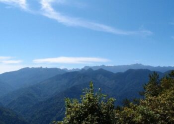 北臺灣5處國家森林遊樂區與烏來台車除夕休園　  春節連假正常開放迎客