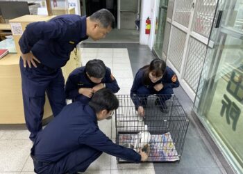 小鴨路上閒晃影響交通  嘉義水上警及時協助尋獲飼主