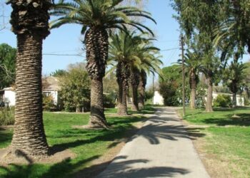 八國外長聯合譴責以色列西岸擴張　籲停止破壞「兩國方案」