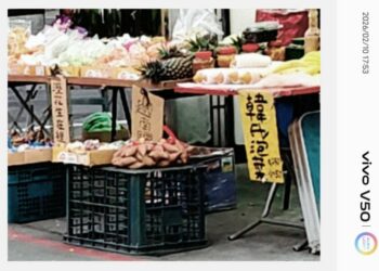 是韓國泡菜還是姓韓的賣泡菜？