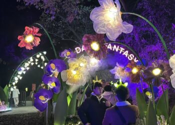 屏北觀光熱潮  「奇幻大津」年前及春節線上搶票一空