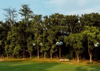 森林長出大眼睛!?高雄果嶺公園、澄清湖畔變身森林藝境，大型藝術裝置陪你浪漫走春