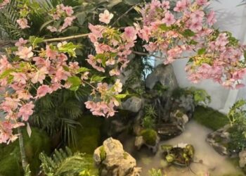 櫻花也有濃烈氣味？新品「螺螄粉櫻」春節首展引熱議