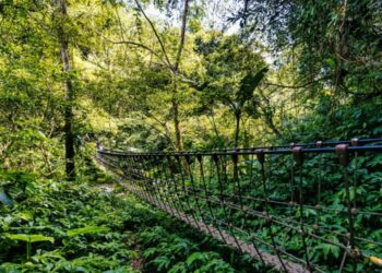 馬年走春踏青去　   楊文科推薦新竹縣3條「馬」字步道迎好運