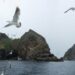 南韓抗議日本再辦「獨島日」 重申獨島為固有領土