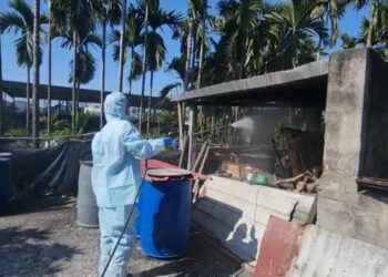 屏東查獲第6起豬場餵飼廚餘 重罰40萬