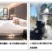 阿里山賓館全新「雲端之森」頂級客房開賣 贈花季賞櫻隨行包