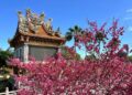 春暖花開迎好運  林口竹林山寺賞櫻祈福一次滿足