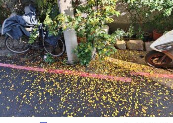 詩詞連結生活 落花也試試寫對聯