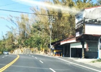 乾旱致內門竹子枯萎 「天降甘霖」有救?