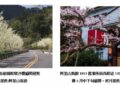 春遊阿里山正當時 阿里山賓館推燈會住宿優惠搶攻花季