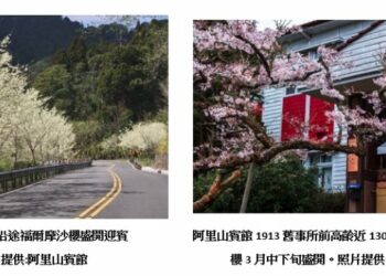 春遊阿里山正當時 阿里山賓館推燈會住宿優惠搶攻花季