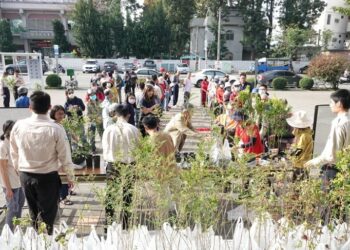 在植樹節種下綠色希望 3/12植樹節全市區公所免費發送樹苗
