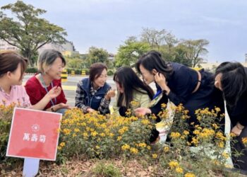 「還記得那株小苗嗎？」 植樹節前夕高雄區監理所邀民眾一同見證花開時刻