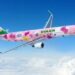 長榮航空升級高雄航線 廣體客機進駐、粉萌機吸睛登場