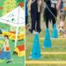 短腿低底盤極速大賽!高雄「好伴」萌寵趣味運動會 4/11-12岡山公園爆笑登場