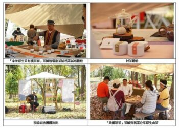 原森聯合季節茶席串聯山林四季  茂管處邀民眾體驗原生山茶文化之美