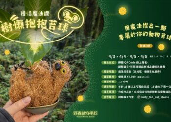 萌翻兒童節！小食蟻獸寶寶亮相　野森推命名抽機票活動