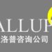 蓋洛普調查:中國領導力支持度領先美國5個百分點