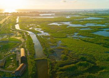 高市力推「海線潮旅行」體驗茄、永、彌、梓、林漁村風情  成團即補助4,500元