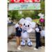 新北客家桐花祭手機攝影徵件倒數 「五月雪」美景不留白!七區接力迎来賞桐高峰