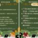 籲媒體謹慎報導精神健康事件  衛生局提醒「六要四不要」報導原則