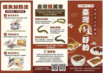 漁業署母親節獻禮！「臺灣鰻好的」活動開跑 國產鰻魚美食地圖、星級食譜與實體展售會同步登場