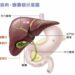 體檢發現「膽囊息肉」別慌！          醫揭關鍵尺寸：大於1公分需警覺