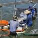 養殖放養申報到5月底  海洋局提醒漁民把握期限