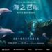 不用潛水也能深入台灣海域　《海之召喚》高雄開啟XR海洋冒險