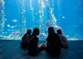 屏東海生館「海岸共聲」登場 用音樂與行動重新認識海洋  世界海洋日限定優惠 推夜宿四人同行一人免費