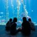 屏東海生館「海岸共聲」登場 用音樂與行動重新認識海洋 世界海洋日限定優惠 推夜宿四人同行一人免費
