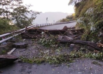 高市桃源區禮觀路段發生路樹倒塌  道路阻斷，雙向無法通行