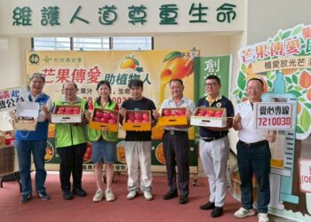 金黃芒果汁「管灌」生命  枋山青農助植物人安養