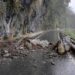 海端鄉利稻路段發生邊坡坍方  雙向道路阻斷無法通行
