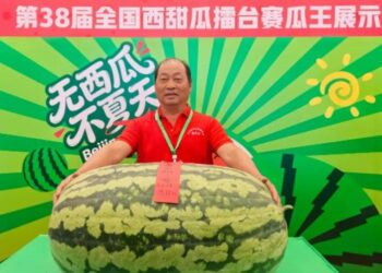 北京大興西瓜節圓滿落幕 79.75公斤巨瓜稱王