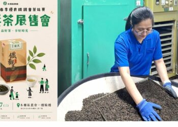 「茶界奧斯卡獎」木柵鐵觀音賽女力崛起！首度父女接力得獎 特等獎一斤飆三萬元