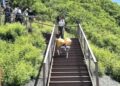 機器狗化身「鋼鐵清潔工」  助力周口店山區垃圾清運