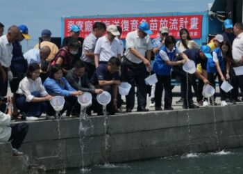 從魚苗放流到海廢再生 雲林實踐海洋永續新願景