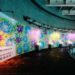 海底也能賞花！海生館暑假推「海洋花樣嘉年華」夢幻特展  夜宿海生館推不同玩法 暑期限定內容曝光