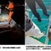 海保署攜手澎湖區漁會 成功查獲違法採捕馬糞海膽